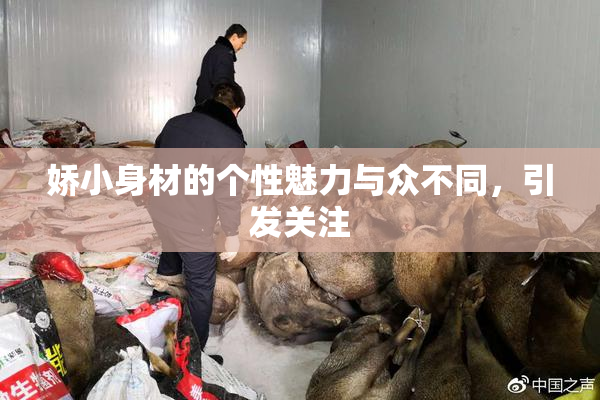 娇小身材的个性魅力与众不同，引发关注