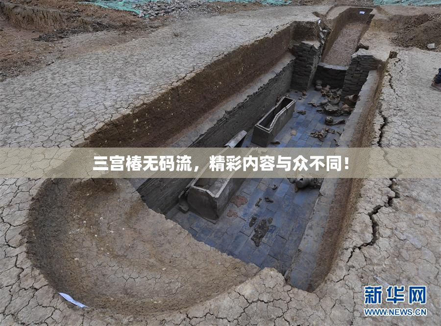 三宫椿无码流，精彩内容与众不同！