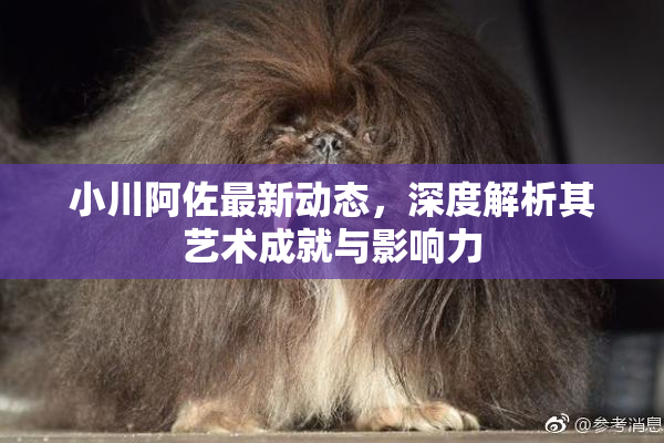 小川阿佐最新动态，深度解析其艺术成就与影响力