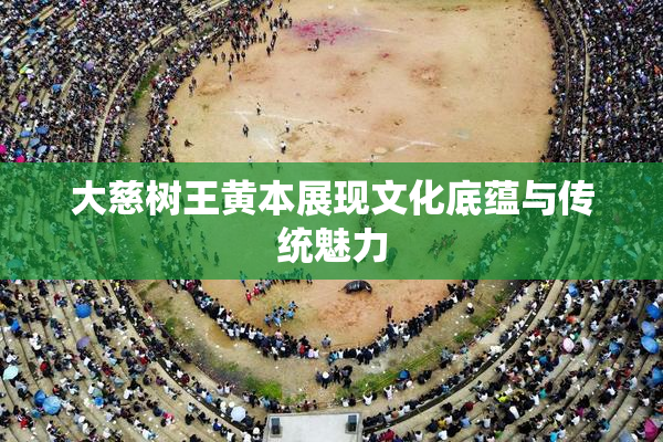 大慈树王黄本展现文化底蕴与传统魅力