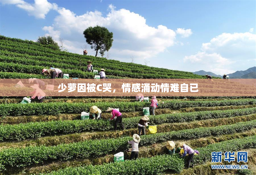 少萝因被C哭，情感涌动情难自已