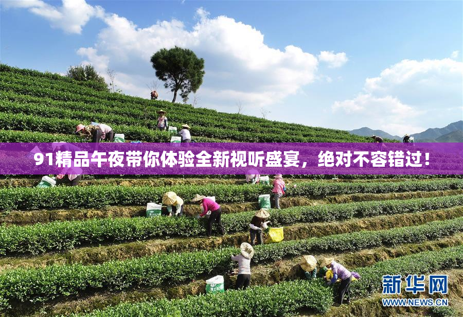 91精品午夜带你体验全新视听盛宴，绝对不容错过！