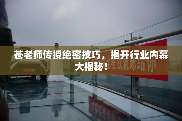 苍老师传授绝密技巧，揭开行业内幕大揭秘！