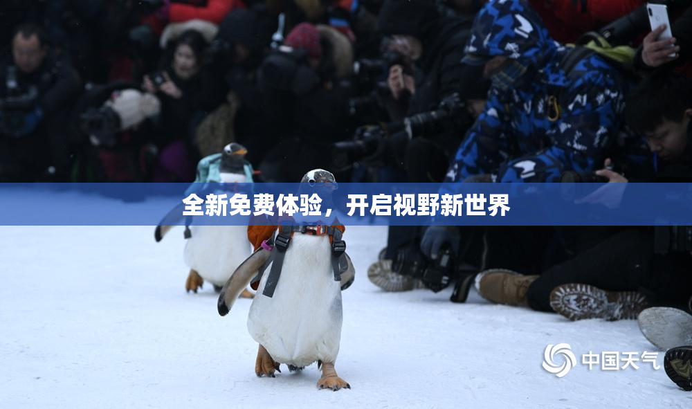 全新免费体验，开启视野新世界