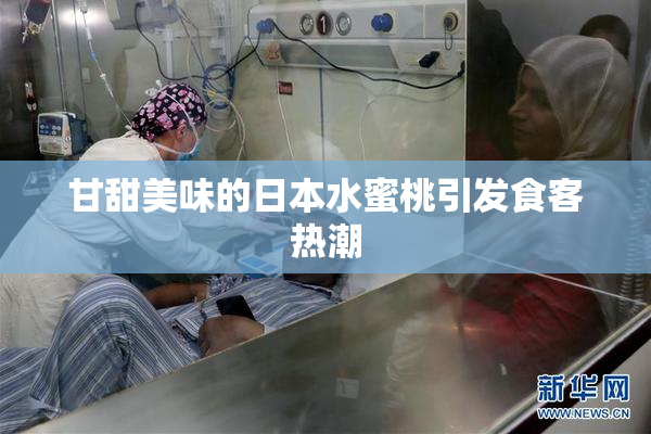 甘甜美味的日本水蜜桃引发食客热潮