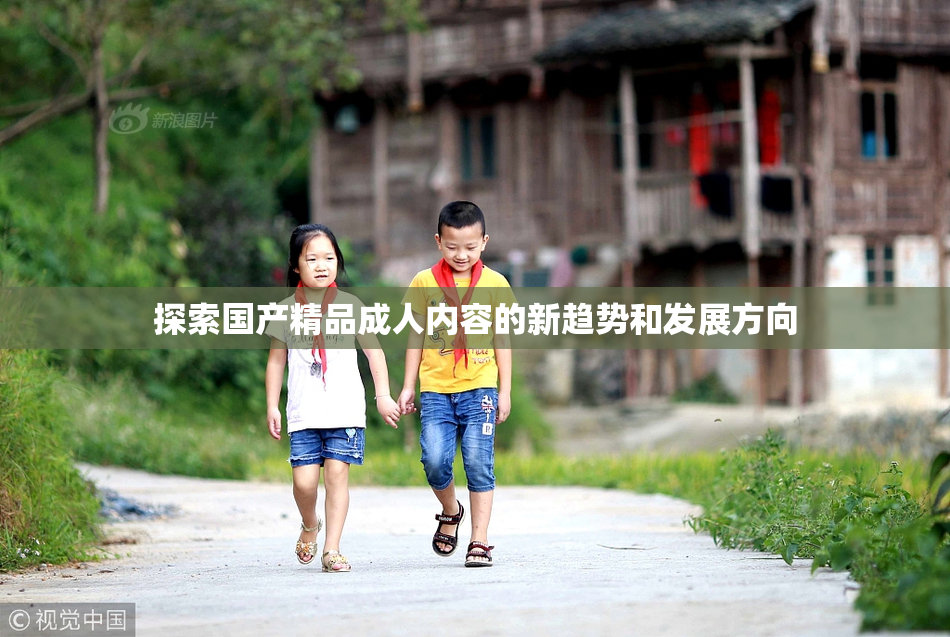 探索国产精品成人内容的新趋势和发展方向