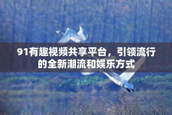 91有趣视频共享平台，引领流行的全新潮流和娱乐方式
