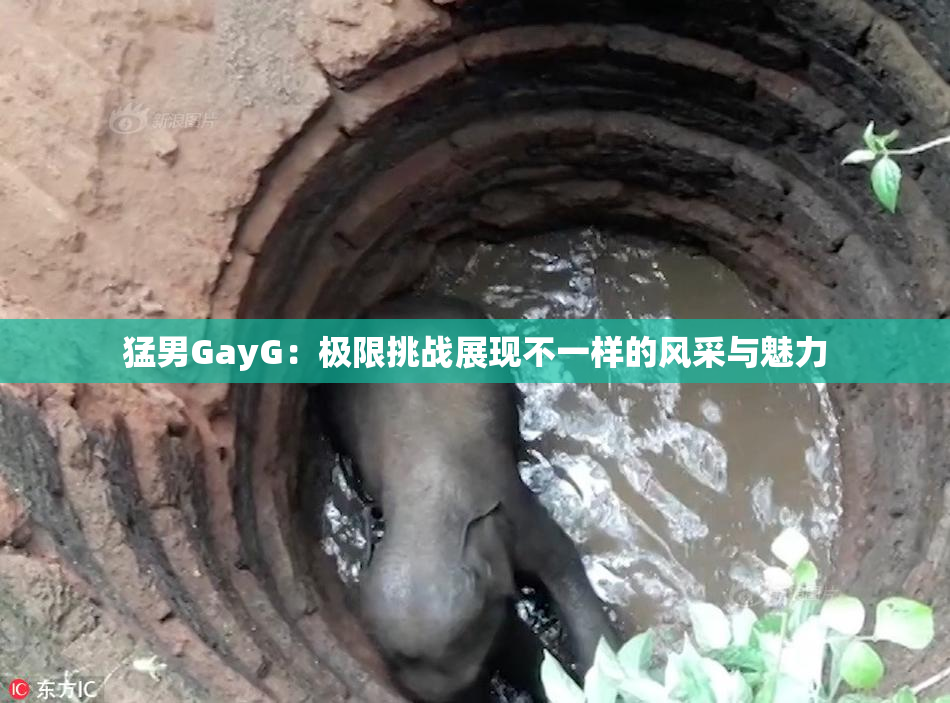 猛男GayG：极限挑战展现不一样的风采与魅力