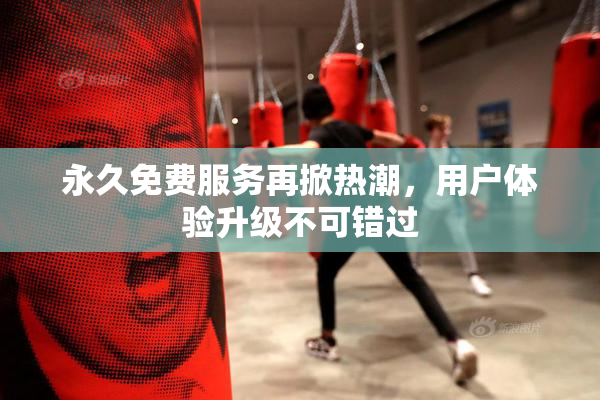 永久免费服务再掀热潮，用户体验升级不可错过