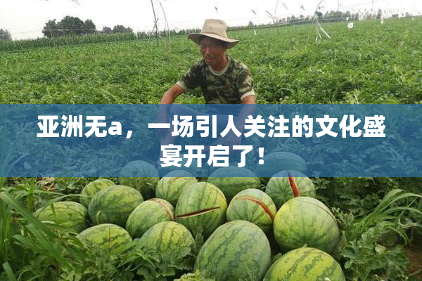 亚洲无a，一场引人关注的文化盛宴开启了！