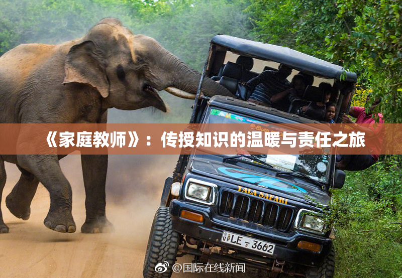 《家庭教师》：传授知识的温暖与责任之旅