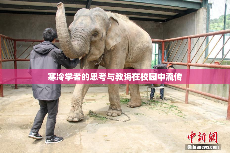 寒冷学者的思考与教诲在校园中流传