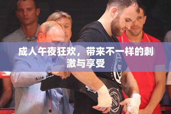 成人午夜狂欢，带来不一样的刺激与享受