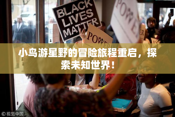 小鸟游星野的冒险旅程重启，探索未知世界！