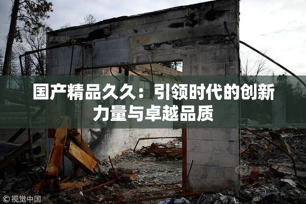 国产精品久久：引领时代的创新力量与卓越品质