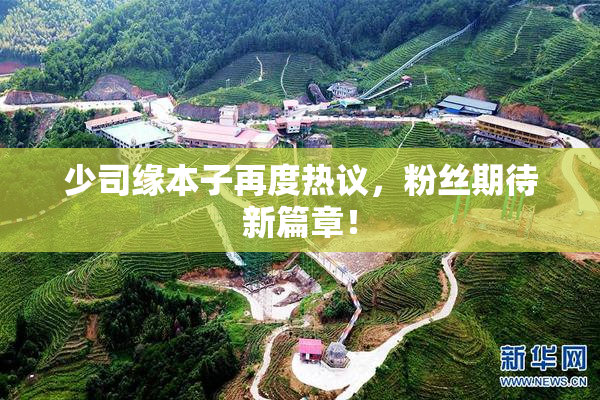 少司缘本子再度热议，粉丝期待新篇章！
