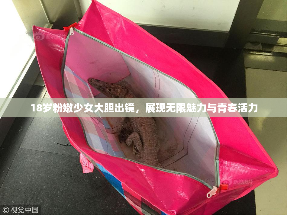 18岁粉嫩少女大胆出镜，展现无限魅力与青春活力