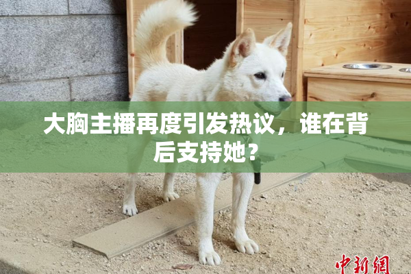 大胸主播再度引发热议，谁在背后支持她？