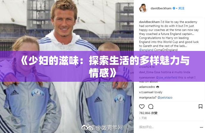 《少妇的滋味：探索生活的多样魅力与情感》