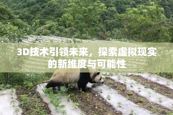 3D技术引领未来，探索虚拟现实的新维度与可能性