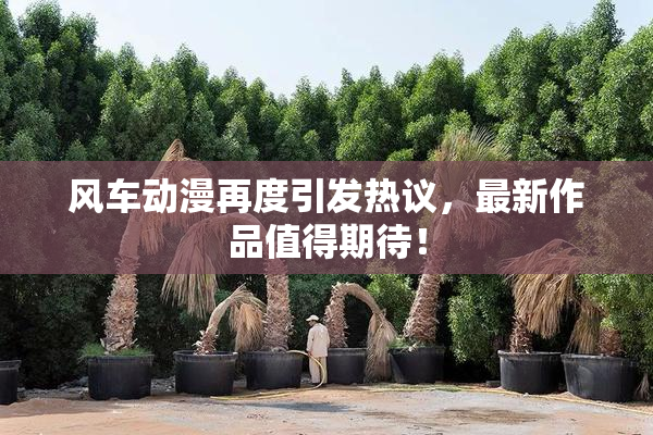 风车动漫再度引发热议，最新作品值得期待！