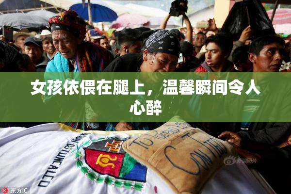 女孩依偎在腿上，温馨瞬间令人心醉