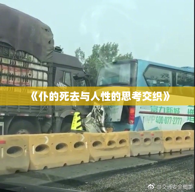 《仆的死去与人性的思考交织》