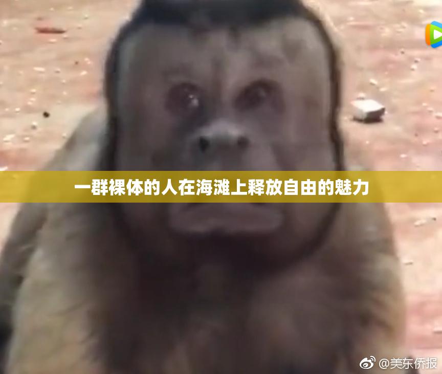 一群裸体的人在海滩上释放自由的魅力