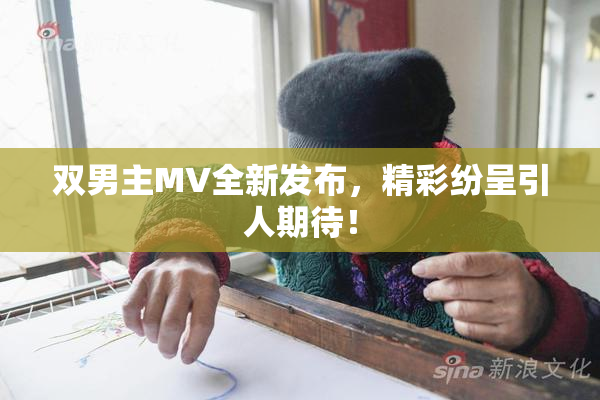 双男主MV全新发布，精彩纷呈引人期待！