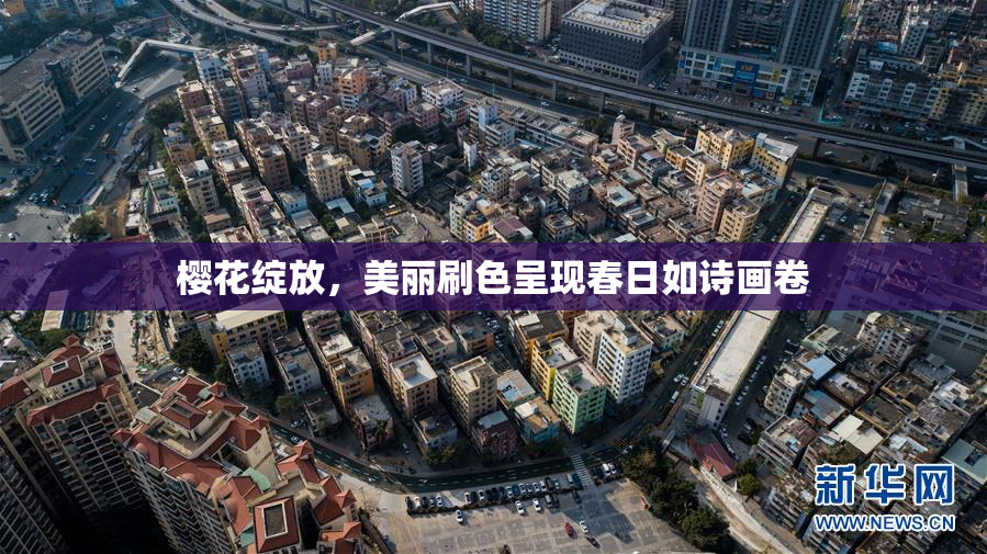 樱花绽放，美丽刷色呈现春日如诗画卷