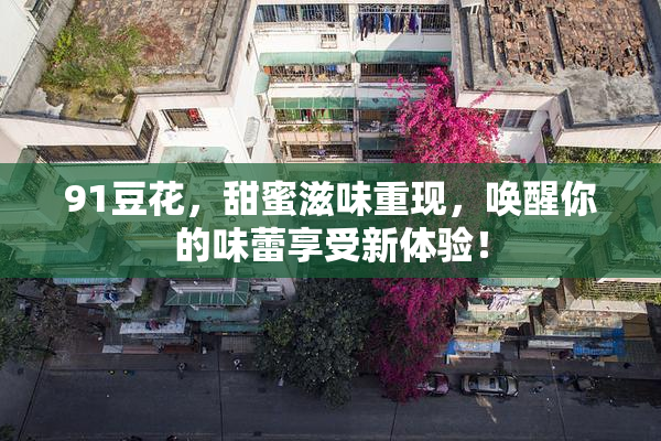 91豆花，甜蜜滋味重现，唤醒你的味蕾享受新体验！