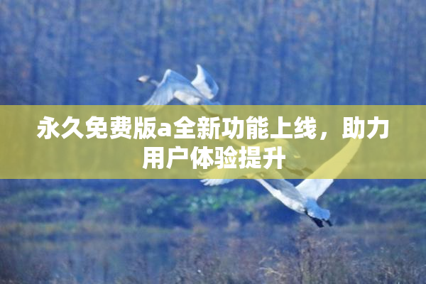 永久免费版a全新功能上线，助力用户体验提升