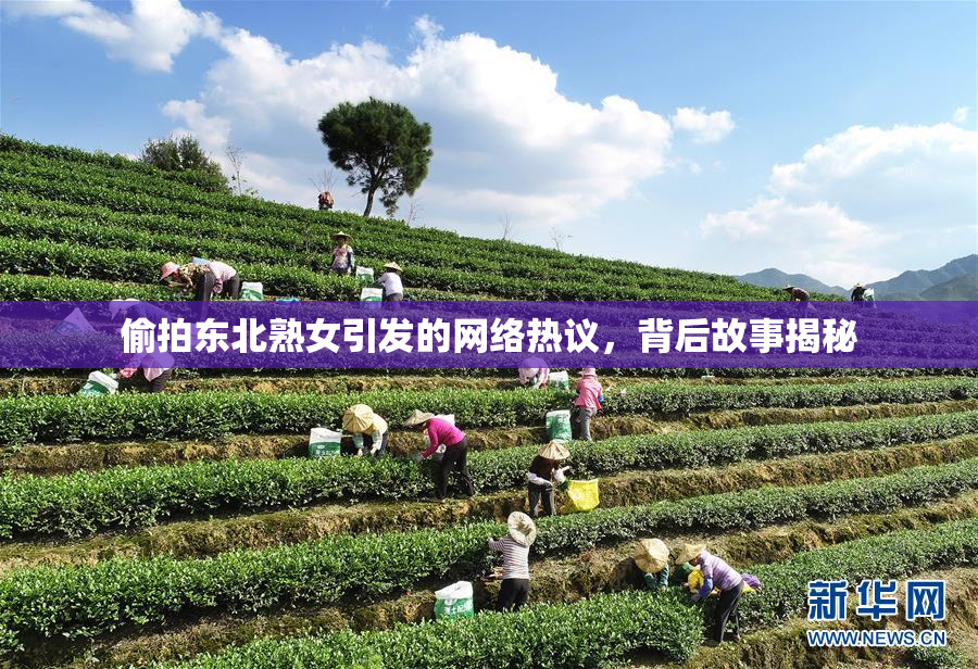 偷拍东北熟女引发的网络热议，背后故事揭秘