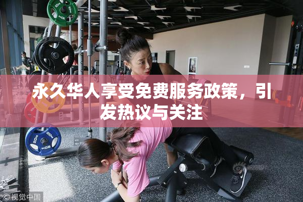 永久华人享受免费服务政策，引发热议与关注