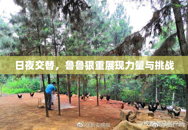 日夜交替，鲁鲁狠重展现力量与挑战