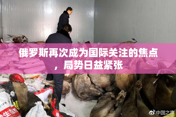 俄罗斯再次成为国际关注的焦点，局势日益紧张