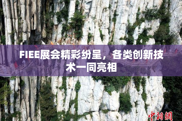 FIEE展会精彩纷呈，各类创新技术一同亮相