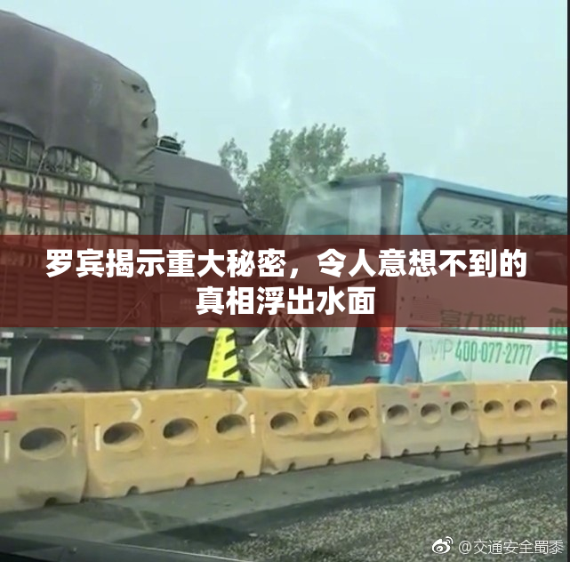 罗宾揭示重大秘密，令人意想不到的真相浮出水面