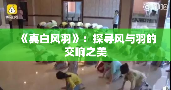 《真白风羽》：探寻风与羽的交响之美