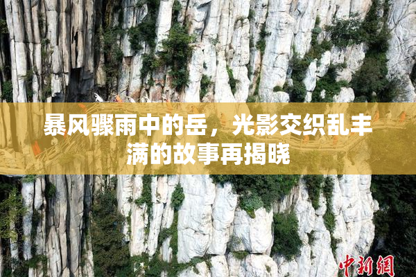 暴风骤雨中的岳，光影交织乱丰满的故事再揭晓