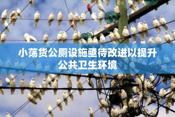 小荡货公厕设施亟待改进以提升公共卫生环境