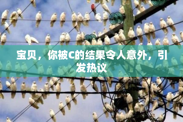 宝贝，你被C的结果令人意外，引发热议