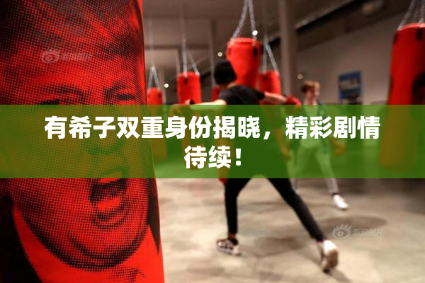 有希子双重身份揭晓，精彩剧情待续！