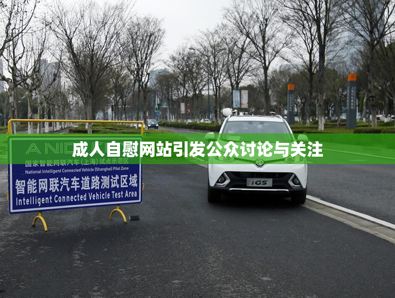 成人自慰网站引发公众讨论与关注