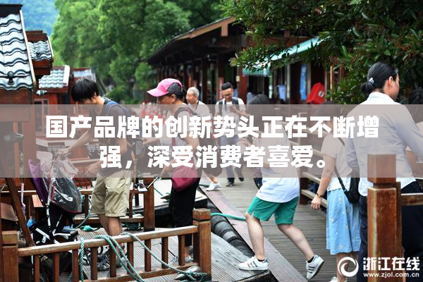 国产品牌的创新势头正在不断增强，深受消费者喜爱。