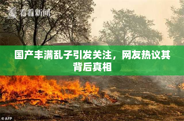 国产丰满乱子引发关注，网友热议其背后真相