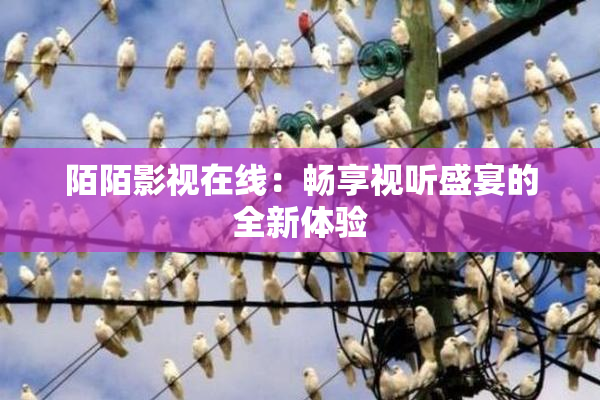 陌陌影视在线：畅享视听盛宴的全新体验