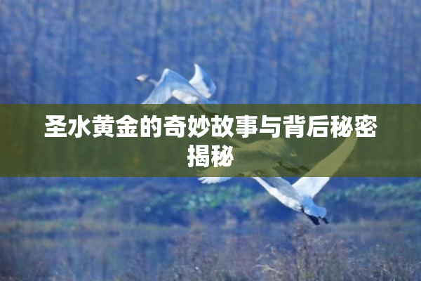 圣水黄金的奇妙故事与背后秘密揭秘