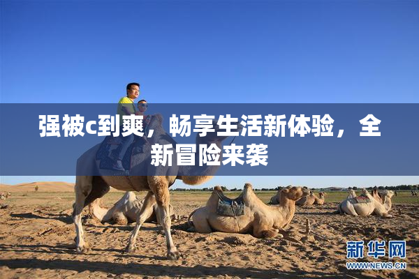 强被c到爽，畅享生活新体验，全新冒险来袭