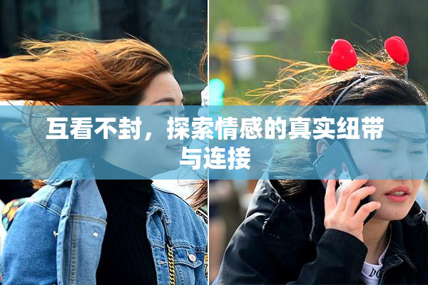 互看不封，探索情感的真实纽带与连接